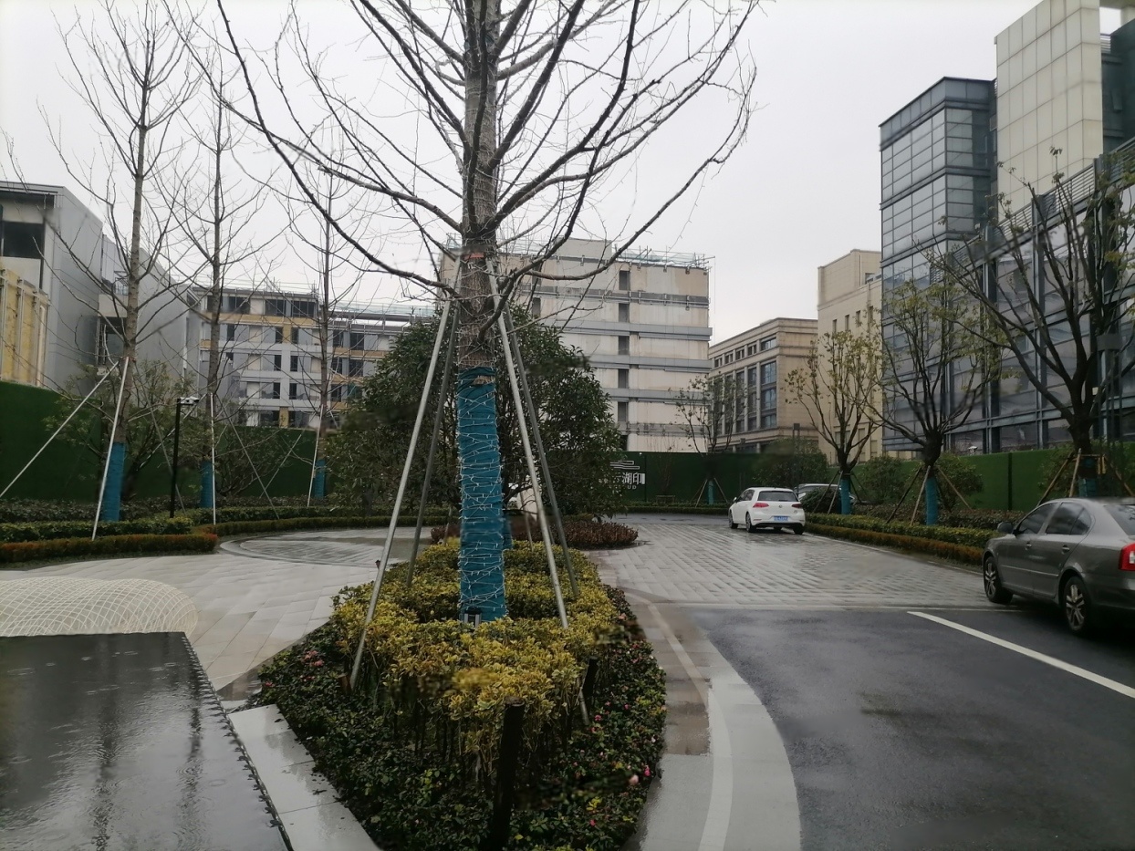 实景图
