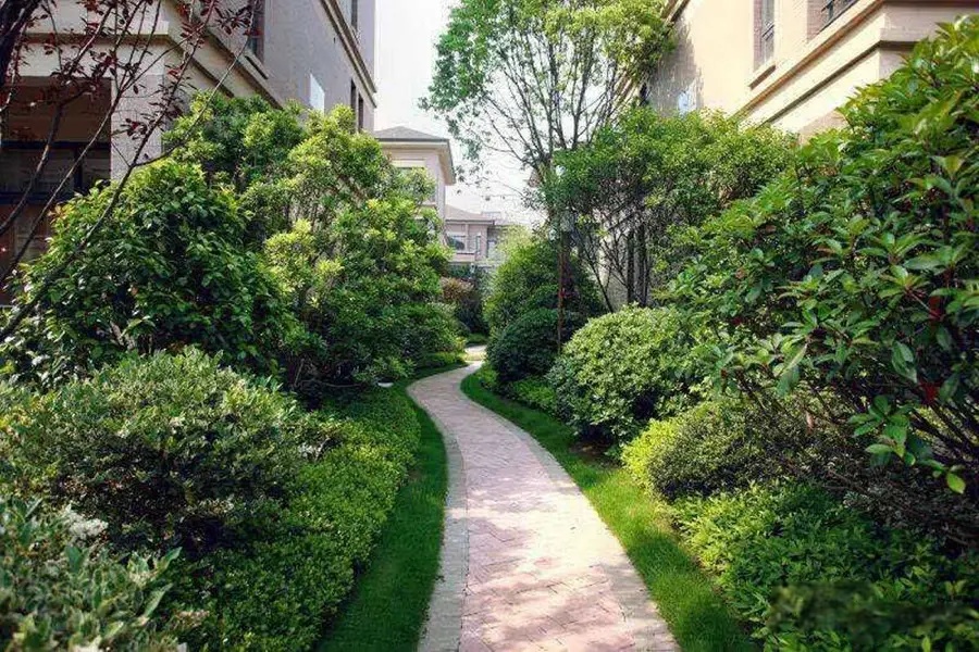 实景图