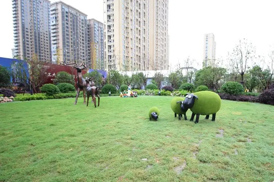 实景图