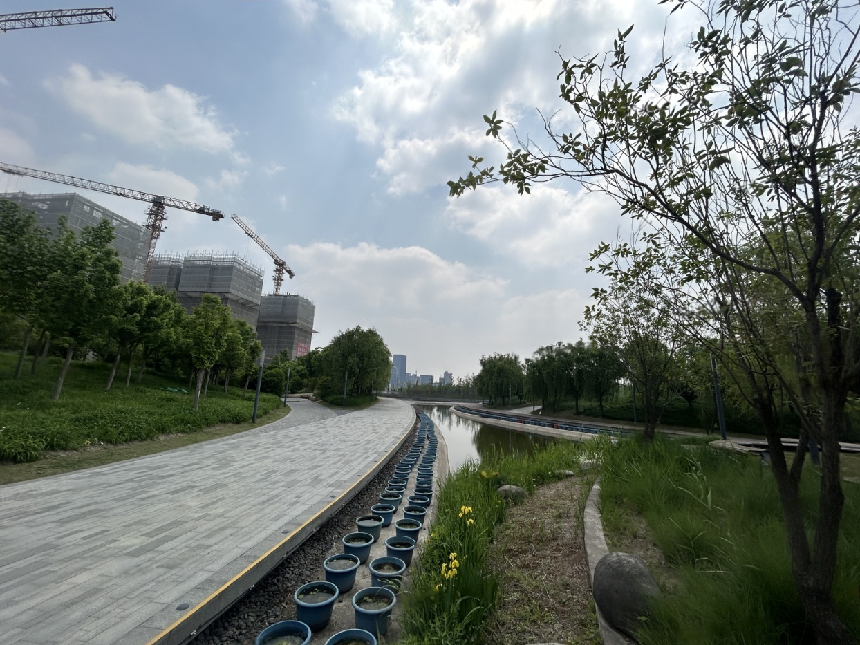 普陀金茂府盛情邀您参加夏日绿境音乐会