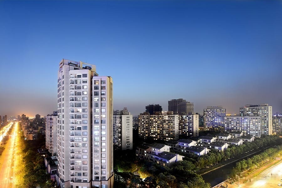 中鹰黑森林11号