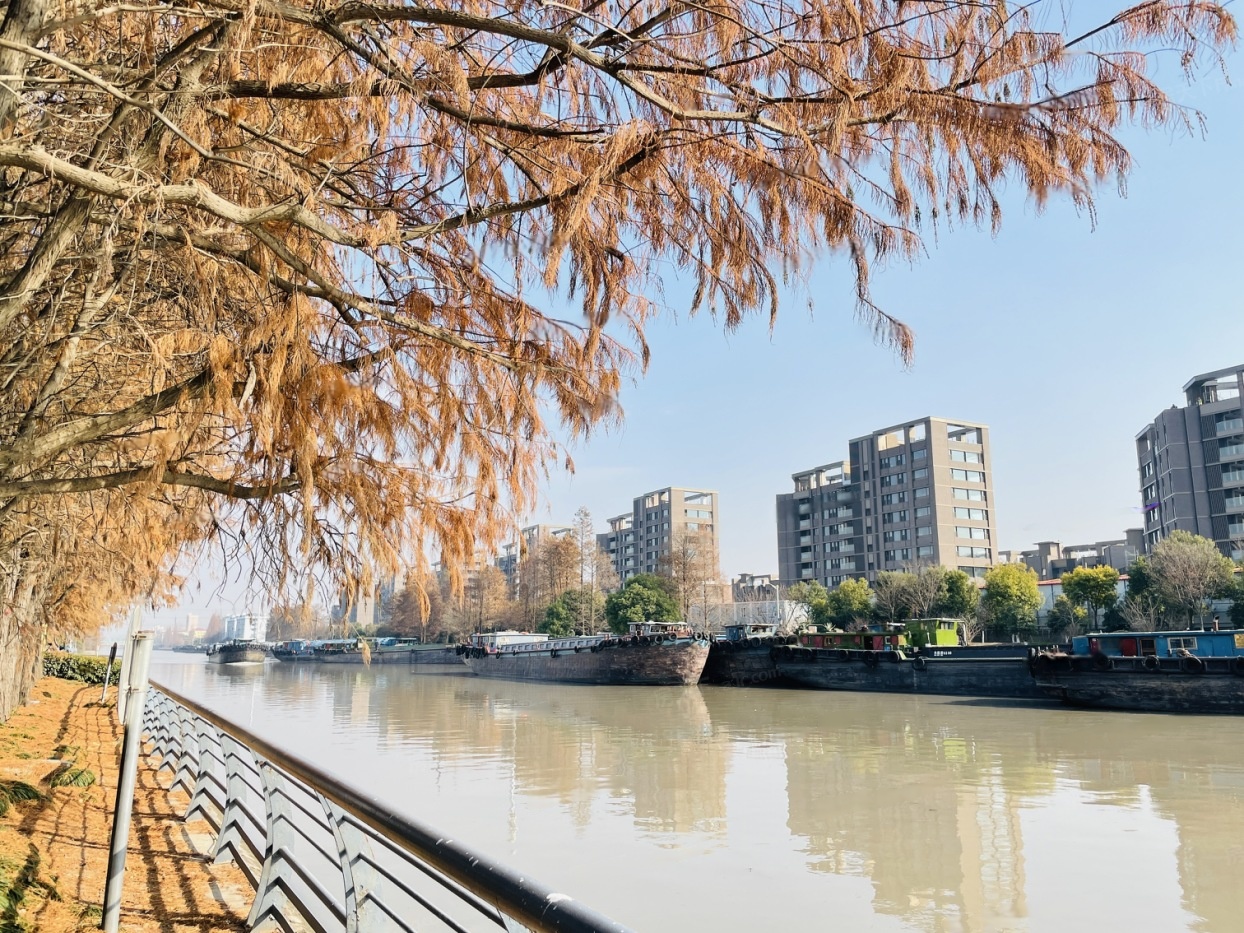 华发·海上都荟热销进行时